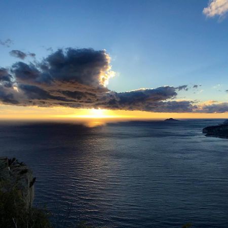 Appartement Retire De La Location La Ciotat Eksteriør billede
