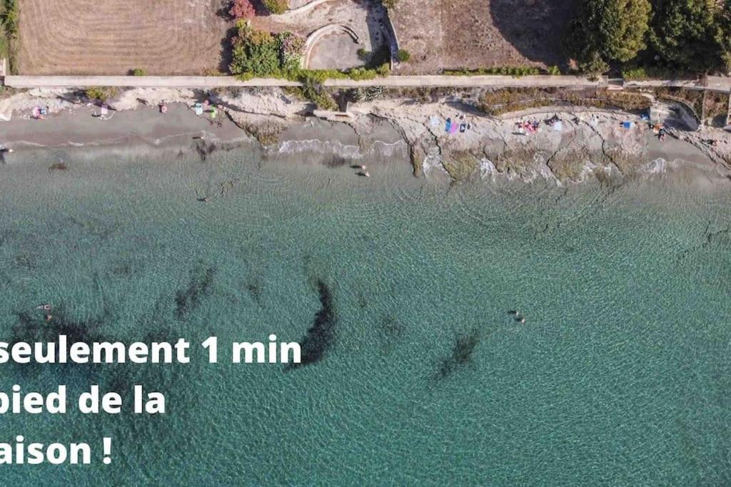 Appartement Retire De La Location La Ciotat Eksteriør billede